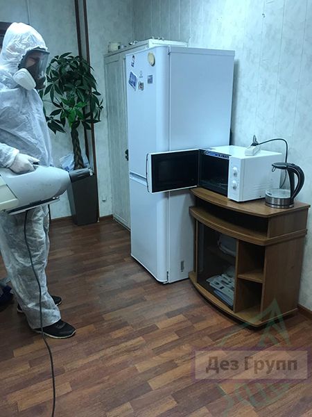 Уничтожение тараканов в офисе, Москва: как избавиться и морить в офисе ...