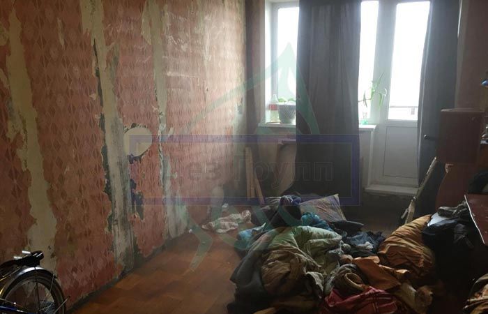 «Как навсегда уничтожить тараканов и клопов в общежитии?» — Яндекс Кью