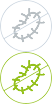 Блохи