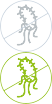 Бактерии