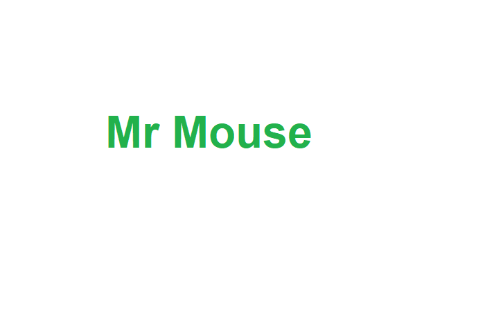 Mr Mouse