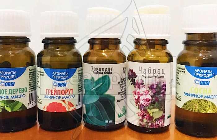 Чем вредны клопы в диване для человека. Смотреть фото Чем вредны клопы в диване для человека. Смотреть картинку Чем вредны клопы в диване для человека. Картинка про Чем вредны клопы в диване для человека. Фото Чем вредны клопы в диване для человека