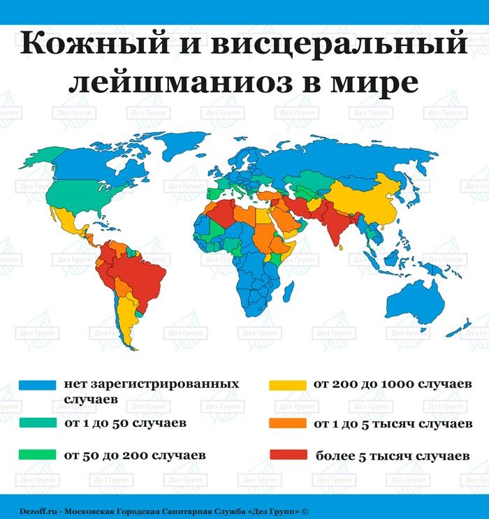 Карта распространения москитов по миру - Дез Групп