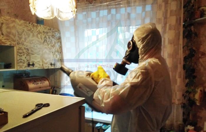 Как избавиться от бабочницы в квартире в Москве