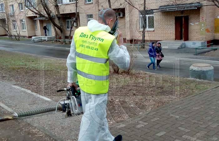 Дератизация подвалов что это. Смотреть фото Дератизация подвалов что это. Смотреть картинку Дератизация подвалов что это. Картинка про Дератизация подвалов что это. Фото Дератизация подвалов что это