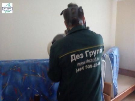 Чтобы травить клопов, можно осуществить вызов на дом специальной службы Чтобы травить клопов, можно осуществить вызов на дом специальной службы