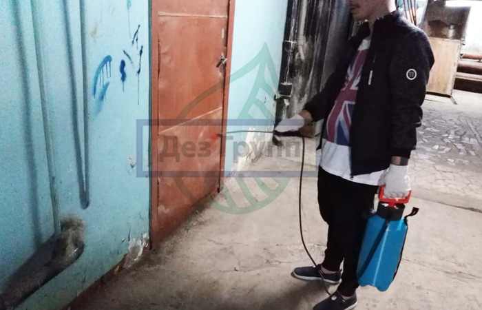 Дератизация - распыление отравы