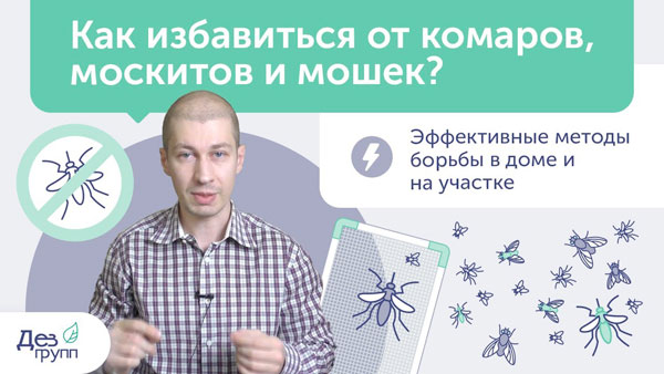видео про уничтожение комаров